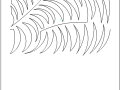 palmfronde2e